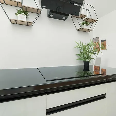 דירה Przestronnne & Jasne Praca Zdalna I Doskonala Lokalizacja W Lodzi By Renters