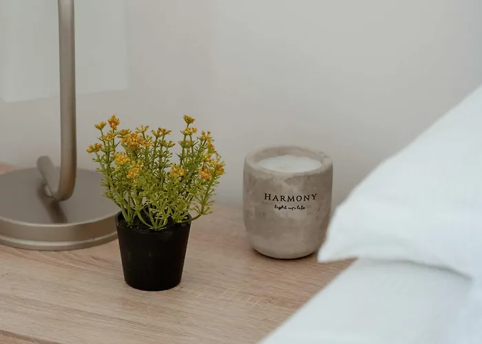 Przestronnne & Jasne Praca Zdalna I Doskonala Lokalizacja W Lodzi By Renters * Łódź